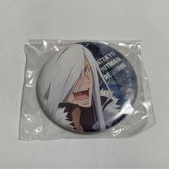 こ*き様 沢田綱吉 アニカプ 家庭教師ヒットマンREBORN ラッキー缶バッジBOX くじ 沢田 綱吉