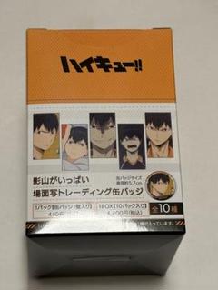 2025年最新】影山がいっぱい場面写トレーディング缶バッジの人気