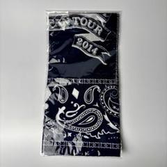 MONKEY MAJIK ●JAPAN TOUR     非売品広報ポスター 大流行中！ MONKEY MAJIK ○JAPAN TOUR 非売品広報ポスター
