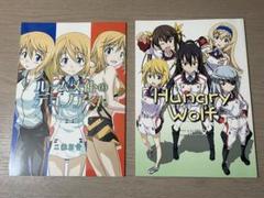 【2冊】同人誌 インフィニットストラトス 二束三文 コミケ コミックマーケット