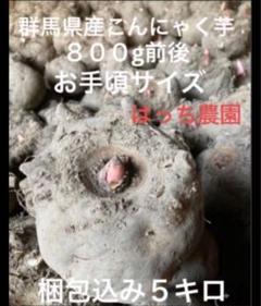 2025年最新】こんにゃく芋の人気アイテム - メルカリ