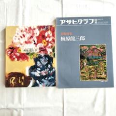 値下げ　梅原龍三郎の富士の油彩画模写 値下げ 梅原龍三郎の富士の油彩画模写 - メルカリ