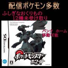 ポケットモンスターホワイト