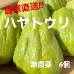 2025年最新】ハヤトウリ3の人気アイテム - メルカリ