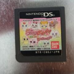 プリキュア 　 ds カセット