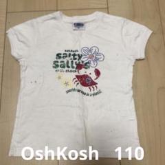 OshKosh オシュコシュ　サルティ・サリー Tシャツ 半袖　キッズ　110