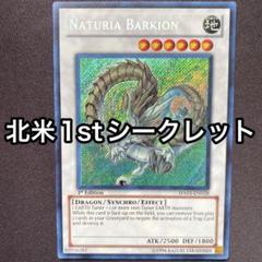 2025年最新】ナチュルパルキオン シークレットの人気アイテム