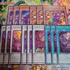 遊戯王　ブラックローズ　デッキパーツ　各3枚　黒薔薇の破滅竜