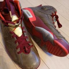 JORDAN6 Championship Cigar　384664-250