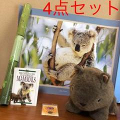 ぬいぐるみ カンガルーの中古 未使用品を探そう メルカリ