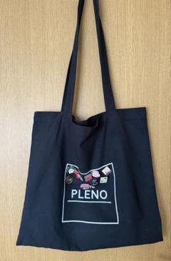 お値下げ！早い者勝ち！【チャン・グンソク】　PLENO キーチャーム　3点セット お値下げ！早い者勝ち！【チャン・グンソク】 PLENO キー