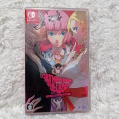 【匿名発送】キャサリンフルボディ　Switch
