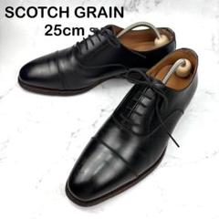 【大人気】SCOTCH GRAIN スコッチグレイン レザー 25 ブラック