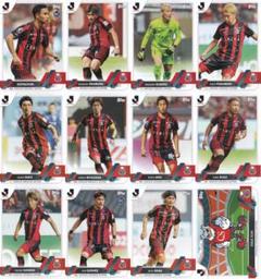 2023 Topps Jリーグ 30th コンサドーレ札幌 宮澤裕樹サインカード 宮澤裕樹/北海道コンサドーレ札幌】2023 Jリーグオフィシャル