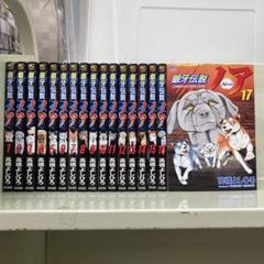 【漫画喫茶落ち】送料込 銀牙伝説ノア 全17巻セット　高橋 よしひろ 漫画喫茶落ち】送料込 銀牙伝説ノア 全17巻セット 高橋 よしひろ