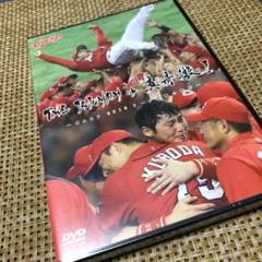 ★chabico様専用★ カープDVD & ケーブルバイト