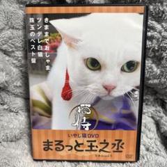 ねこ侍 Amazon | 猫侍 | ゲームソフト