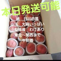 マロン⭐️山梨県産桃日川白鳳⭐️はねだし 家庭用⭐️2箱セット 箱込み約10キロ ⭐︎まもなく収穫終了です⭐︎朝取り桃『日川白鳳』 家庭用2kg