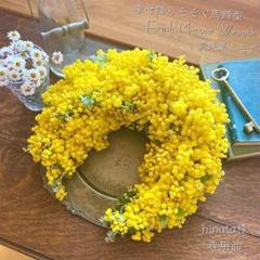 ティファニーブルーページ　☘フレッシュミモザアカシアリースＬサイズ☘ ⚠️専用品⚠️ フレッシュ ミモザ 馬蹄型 リース パール