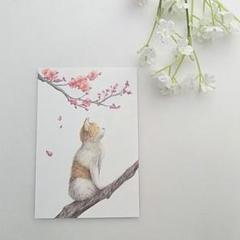 色鉛筆画 原画 1点物 猫 桜 イラスト ハガキサイズ - メルカリ