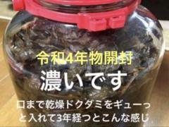 ドクダミチンキ 100ml +30ml 令和4年物開封