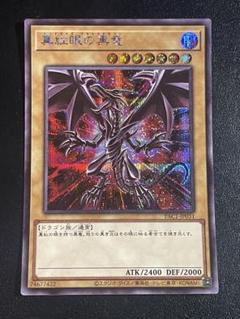 2025年最新】真紅眼の黒竜 シークレットの人気アイテム - メルカリ