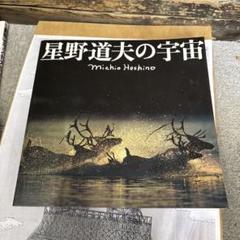 星野道夫 自然写真集・文庫セット 写真集 | 星野道夫事務所公式サイト