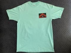 90s“Hanes” Tシャツ USA製 シングルステッチ JAWAIIAN