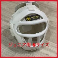 ヘッドギア 空手　M 美品 ISAMI イサミ TN-100 TN-10 空手ヘッドガーII（面がね付）( CKW