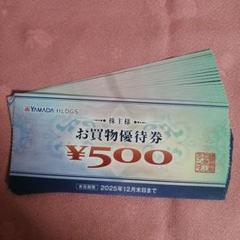 ヤマダホールディングス 株主優待券 11000円分のサムネイル