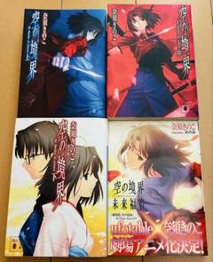 空の境界 小説 まとめ売り 初回限定お試し価格】 まとめ売り 小説 空の境界 - 文学・小説