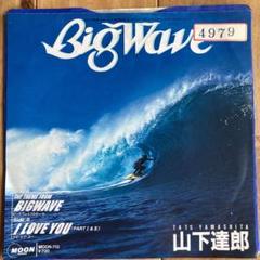 2025年最新】レコード山下達郎 Big Waveの人気アイテム - メルカリ