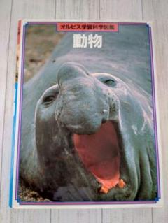 驚きの安さ m64268694860_1.jpg?1734009190 絵本・児童書