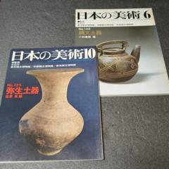 弥生式土器　黒釉　双耳丸瓶　壷　時代箱付　V　R8584B 2025年最新】弥生 土器の人気アイテム - メルカリ