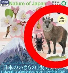 日曜まで　限定出品　レア　ニホンカモシカぬいぐるみ　中サイズ　　メルカリのみ出品 土曜まで 限定出品 レア ニホンカモシカぬいぐるみ 中サイズ