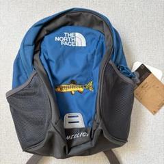 THE NORTH FACE NMJ72205 リュック 8L