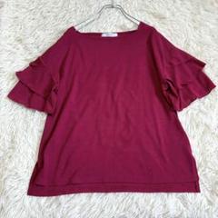 n6227 美品✨ フリル袖 半袖ブラウス F 女っぽ 綺麗め 上品 薄手 無地