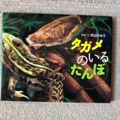 タガメのいるたんぼ