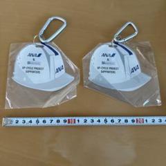 ANA 全日空 エーエヌエー 非売品 キーチェーン キーホルダー 非売品 新品 楽天市場】ANA 全日空 BOEING 777 787 繊細刺繍 タグ