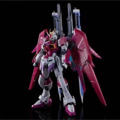 RG ディスティニーインパルスガンダム完成品　ジャンク品 ジャンク ガンプラ RG デスティニーインパルスガンダム 光の翼