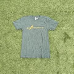 90s USA製　シングルステッチ　ビンテージ tシャツ　ピチ tシャツ y2k