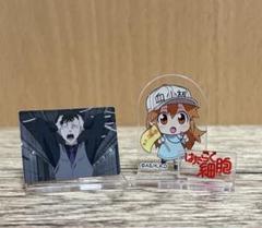 新品★はたらく細胞【キラーT細胞】プリンセスカフェ★アクリルスタンド★アクスタ はたらく細胞 アクリルスタンド＿キラーT細胞