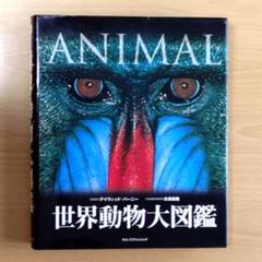 2025年最新】世界動物大図鑑の人気アイテム - メルカリ