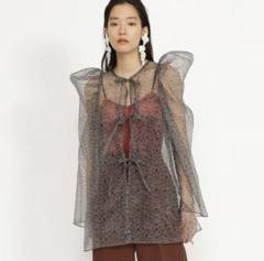 【FUMIE=TANAKA × Ray BEAMS】シアー2wayシャツ【美品】のサムネイル
