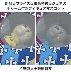 2025年最新】GENE犬の人気アイテム - メルカリ