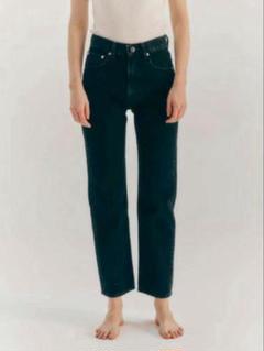 SHISHIKUI シシクイ ストレートデニムパンツ 25 Ｌ相当 完売品 EASY JEANS / LIGHT INDIGO – SHISHIKUI