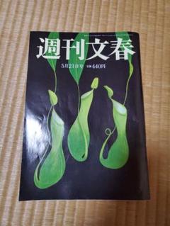 週刊文春 5月21日号