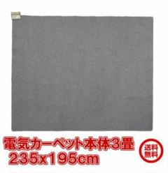 電気カーペット 本体 3畳 電器メーカーモリタ電工 1年保証