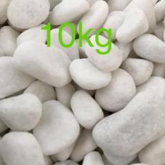 玉砂利 白 10kg