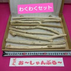 流木セットno.326